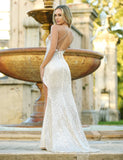 Eclipse Gown Platinum V Neck Sequin Dress