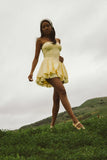 Dixie Bustier Mini Dress