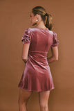 Roxanna Velvet Mini Dress in Mauve FINAL SALE