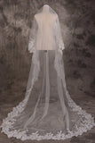 Vintage One Tier Lace Edge With Tulle Wedding Veil