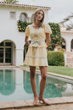 Wesley Mini Skirt
