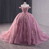 Floral Lace Sweetheart Corset Ball Gown Quinceañera Dress
