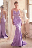 Jodie Gown Fitted Lace Appliqué Evening Dress