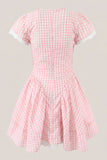 Pink Gingham Cotton A Line Mini Dress