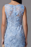 Blue Appliqued Illusion Neck Bodycon Mini Dress