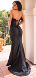 Sloane Corset Gown Black Feather Trim Dress