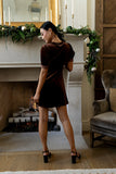 Roxanna Velvet Mini Dress in Brown FINAL SALE