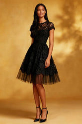 Lace A Line Short Sleeves Little Black Dress