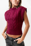 Lennie Cable Knit Top in Burgundy FINAL SALE