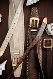 Jaylen Leather Sash Belt in Brown