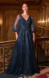 CHARITY GOWN TULLE A LINE GOWN WITH SHEER SLEEVES