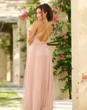 Sydney Maxi Dress Blush Tulle Dress