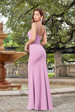 Tatum Fitted Maxi Dress Mauve