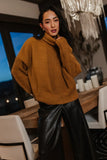 Catherine Turtleneck Sweater in Brown FINAL SALE