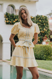 Wesley Mini Skirt