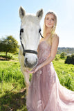 Alisha Gown Mauve Tulle A line Dress With Open Back