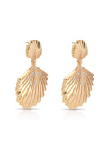 Sun drenched Shell Earrings