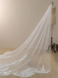 Vintage Lace Cathedral Veil Shaped Bridal Veil Wedding Veil