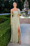 Hilde Gown Shimmer Chiffon One Shoulder Drape Dress