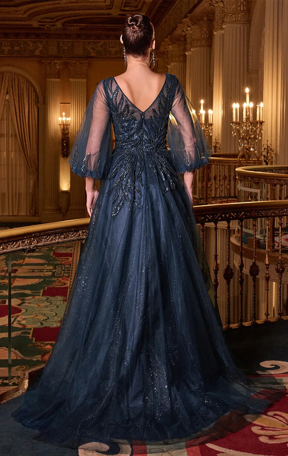 CHARITY GOWN TULLE A LINE GOWN WITH SHEER SLEEVES