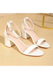 Open Toe Ankle Strap Suede Block Heel Sandals