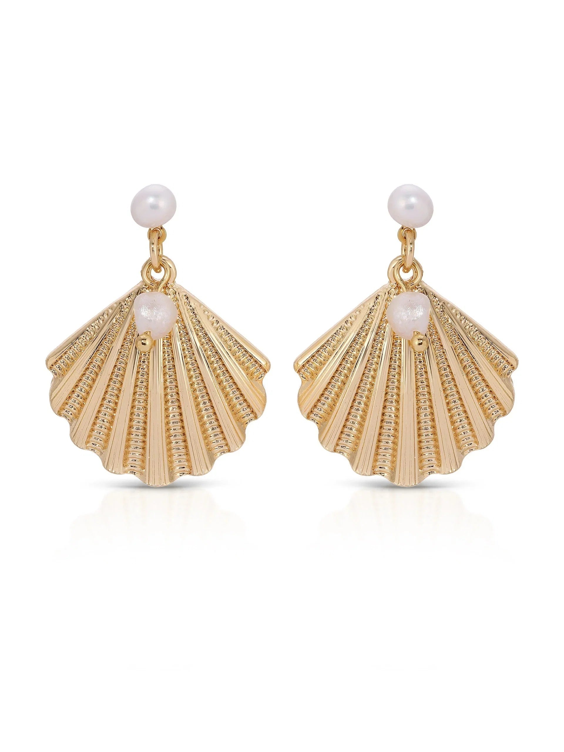 Scallop Shell and Pearl Earrings