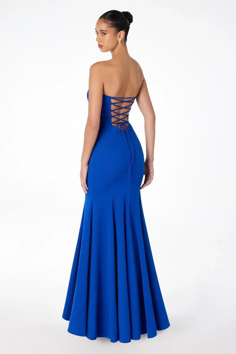 Poppy Maxi Dress Strapless Fitted Dress