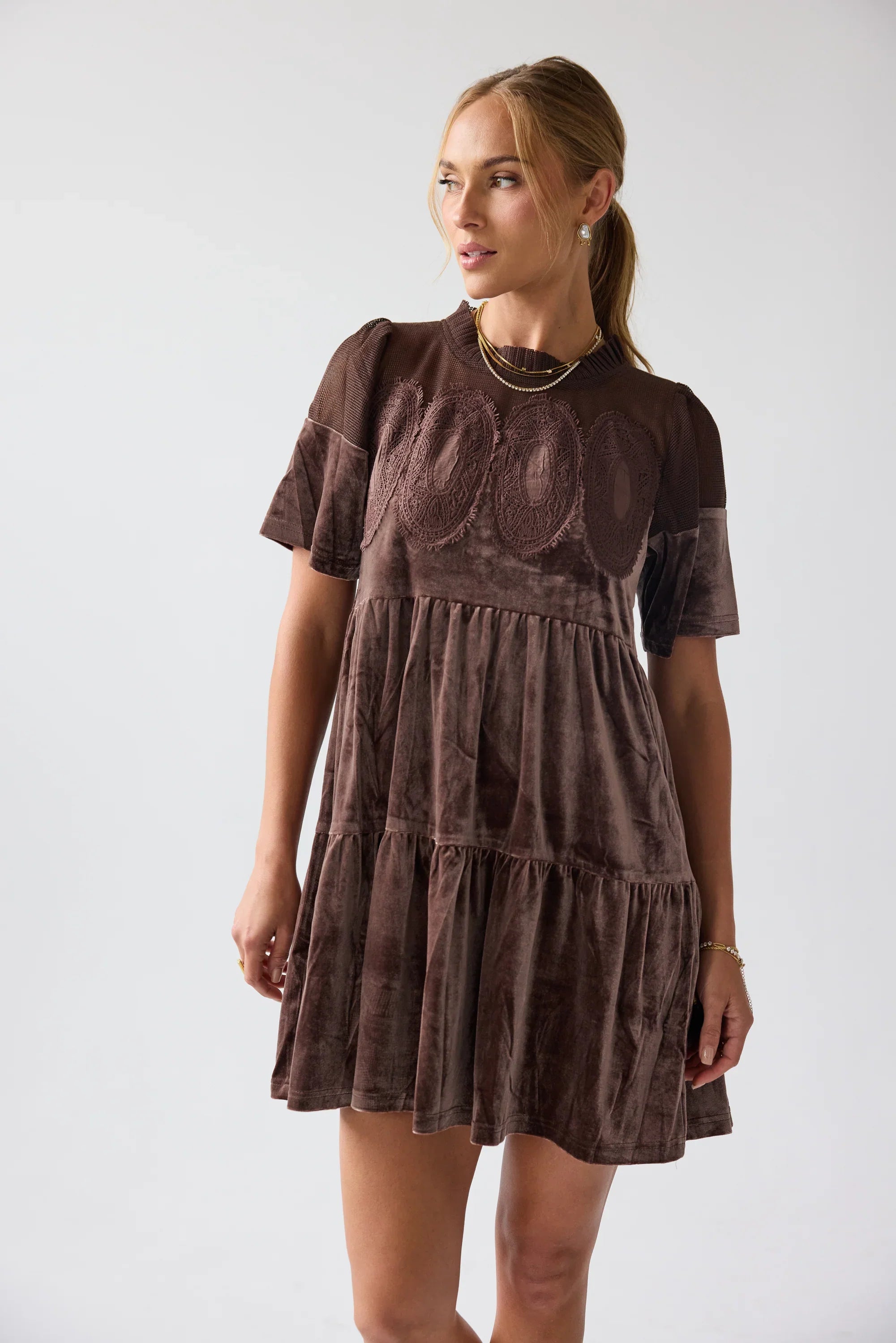 Banks Velvet Mini Dress in Brown FINAL SALE