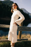 Lumen Turtleneck Midi Dress FINAL SALE
