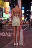 Sage Green Embroidered Halter Corset Bodycon Homecoming Dress
