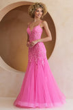 Hera Gown Pink Tulle Floral Lace Mermaid Dress
