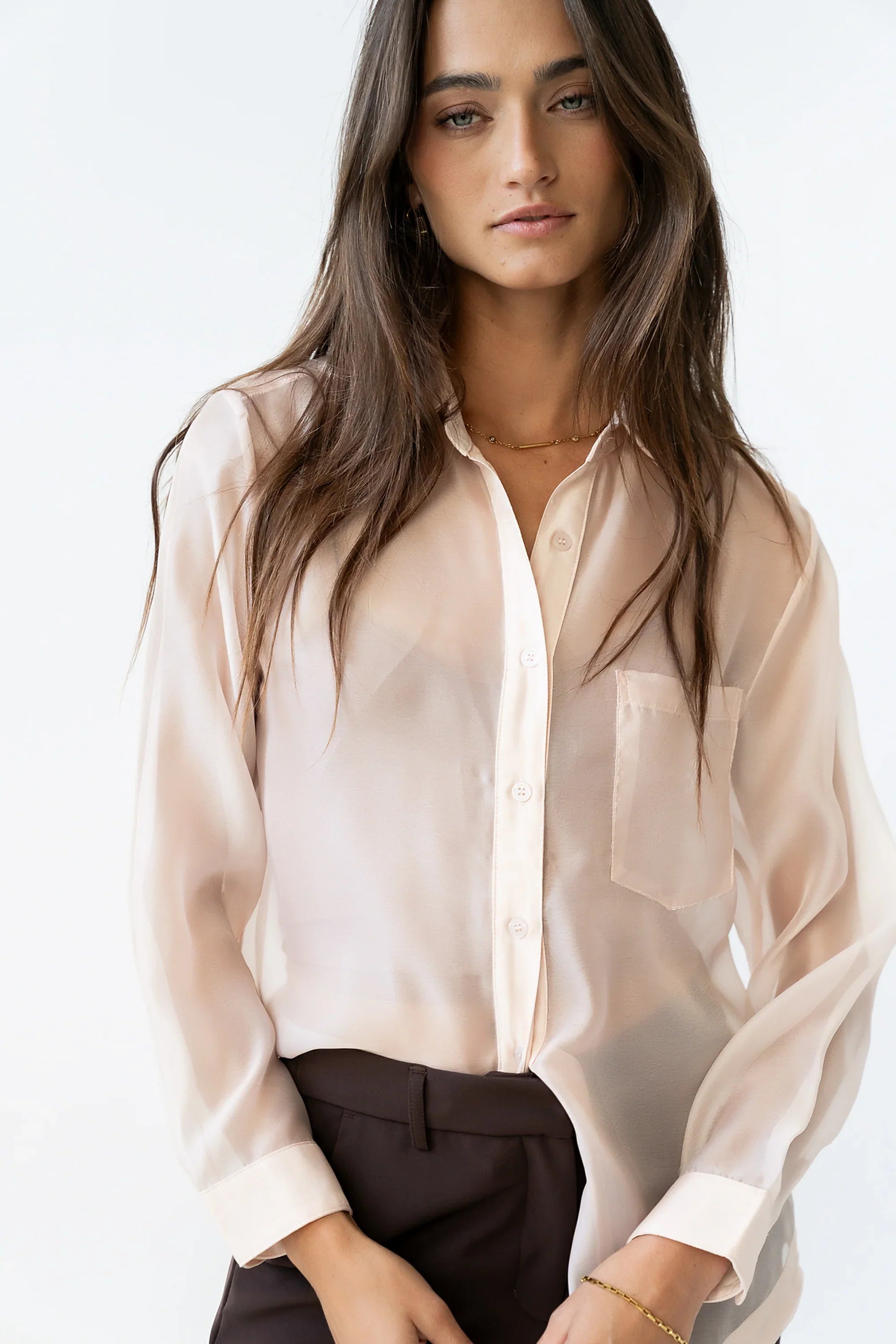 Liberty Sheer Button Up Blouse in Blush FINAL SALE