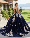Navy Blue Velvet Quinceañera Dress With Train 3D Flower Appliques Ball Gown