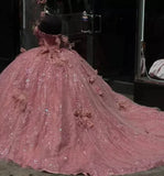 Pink Tulle Ball Gown Off the Shoulder Quinceanera Dresses