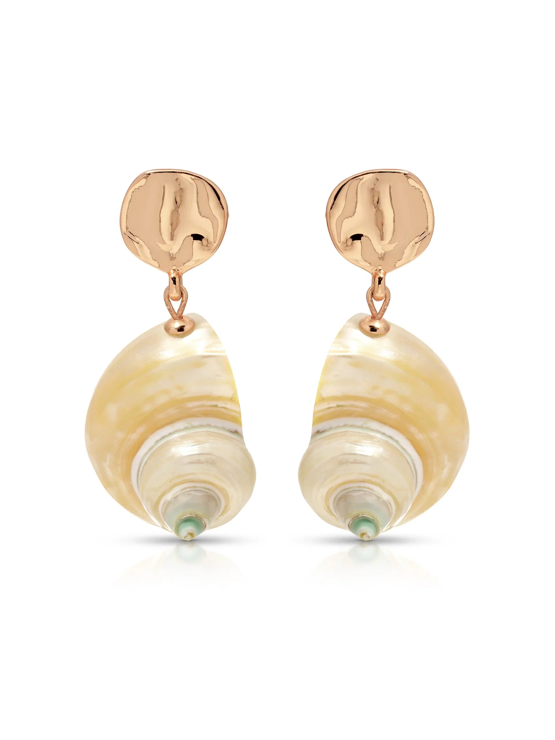 Sunken Treasure Shell Earrings