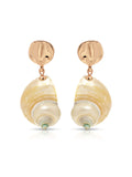 Sunken Treasure Shell Earrings