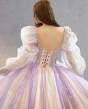 Pink Ball Gown Tulle Long Sleeve Quinceanera Dress