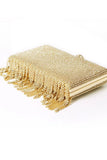 Tassels Golden Exquisite Square Party Handbag