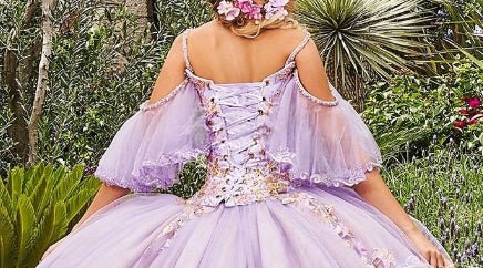 Stunning Tulle Appliques Ball Gown Princess Dress