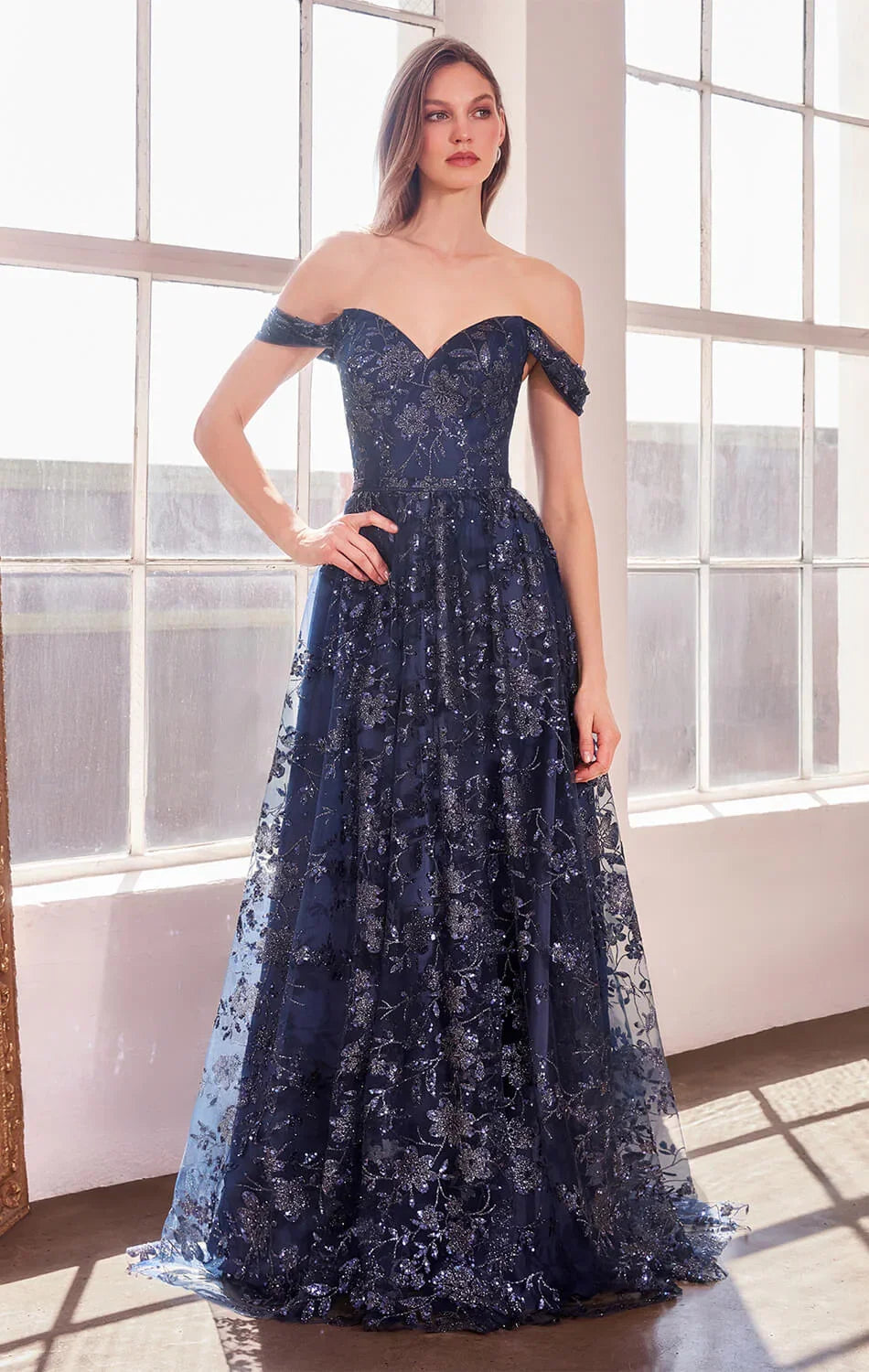 Veronica Gown Glitter Print A line Dress