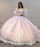 Pink Ball Gown Tulle Long Sleeve Quinceanera Dress