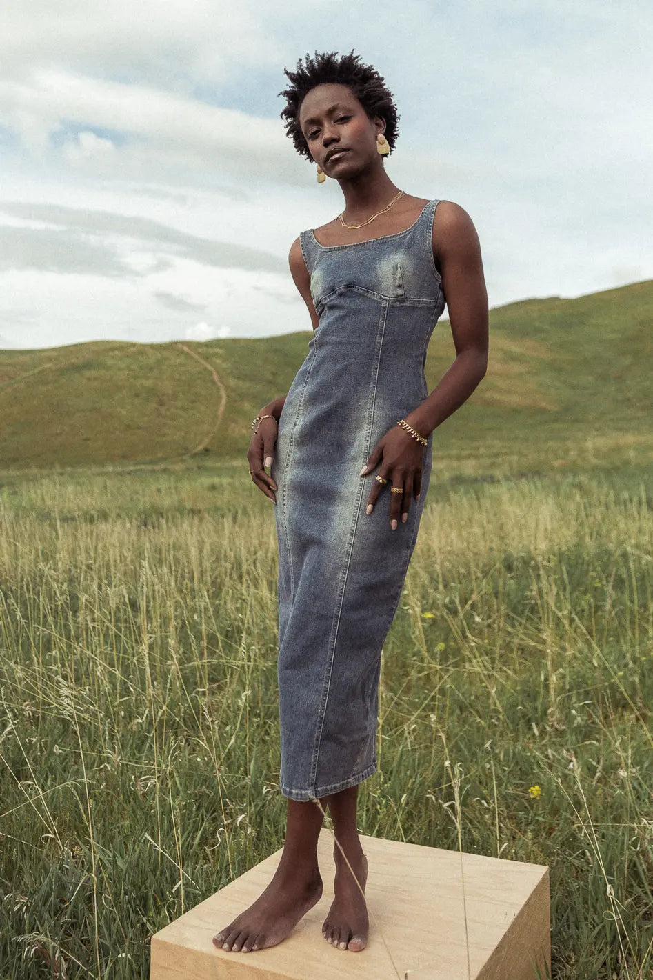Valentini Denim Midi Dress FINAL SALE