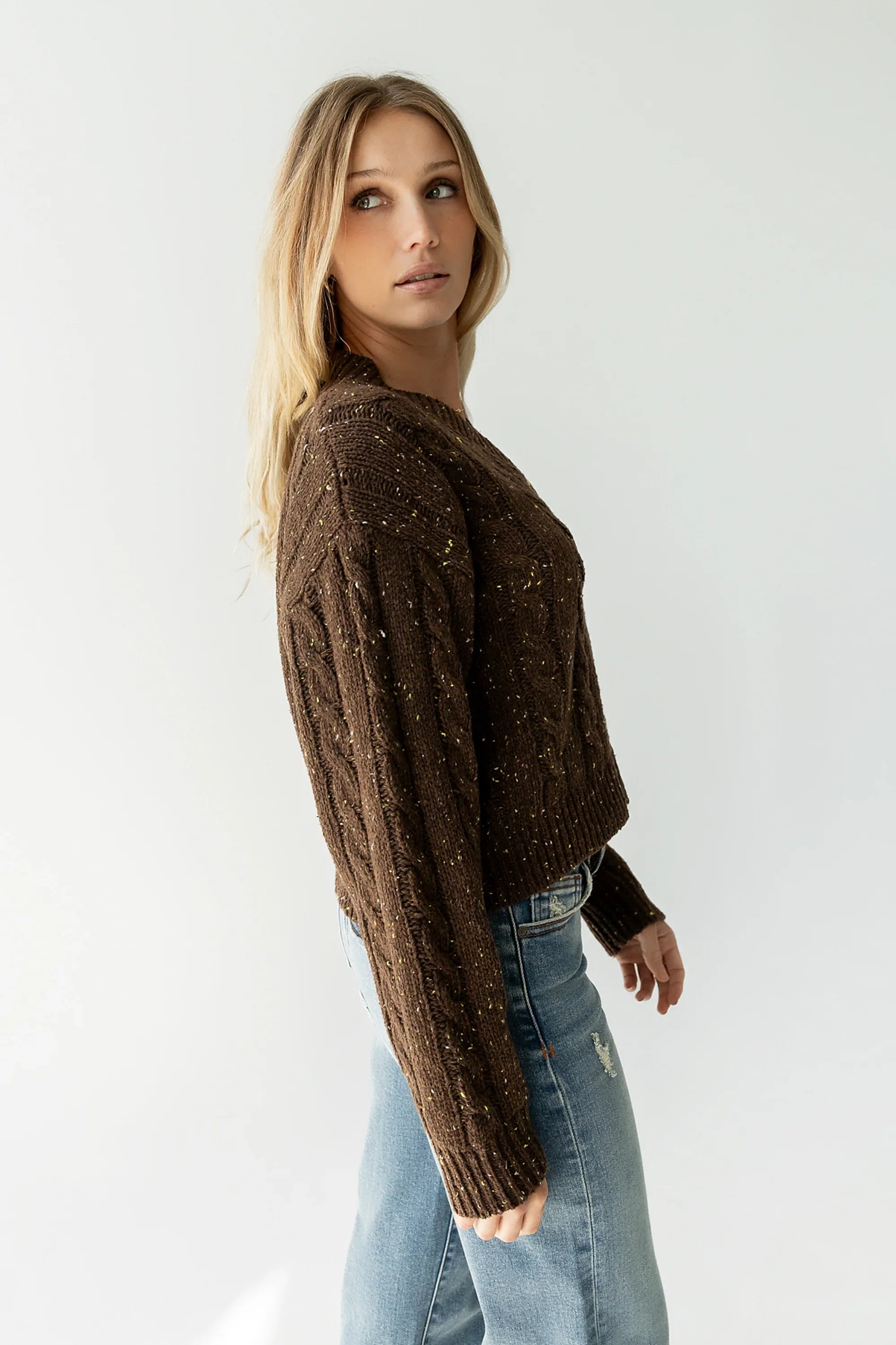 Maxine Speckled Sweater in Brown