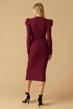 Size Small YOUNG LOVE BURGUNDY PUFF SLEEVE SWEATER DRESS FINAL SALE