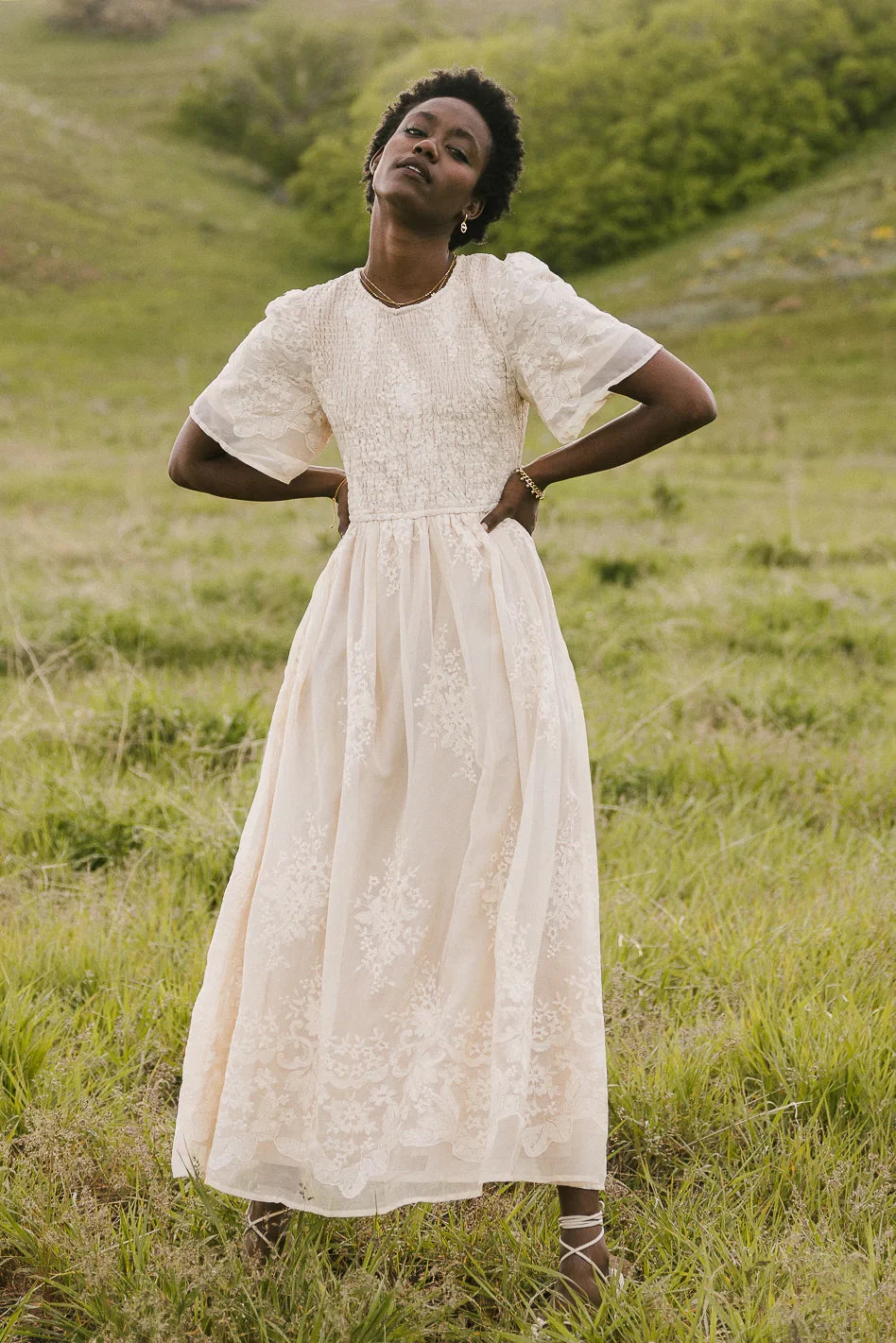 Alora Embroidered Dress in Champagne FINAL SALE
