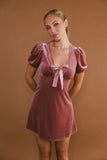 Roxanna Velvet Mini Dress in Mauve FINAL SALE