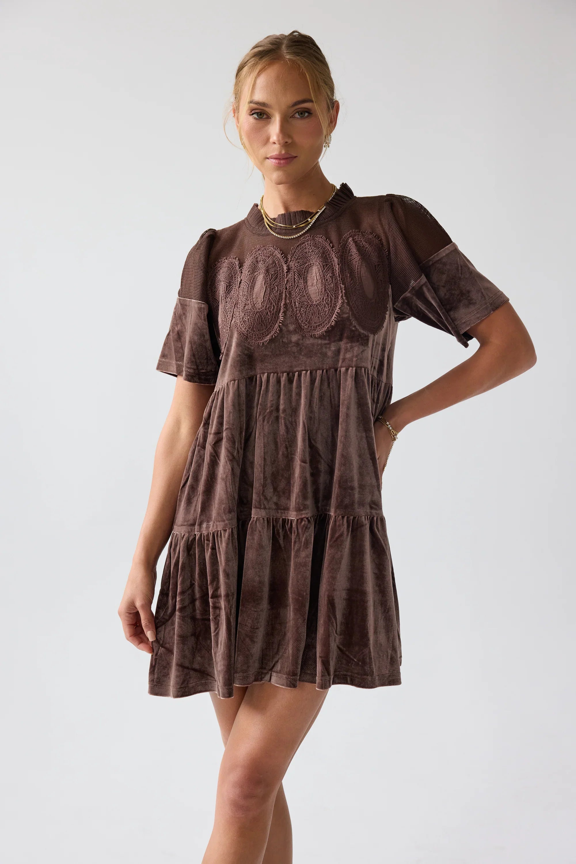 Banks Velvet Mini Dress in Brown FINAL SALE