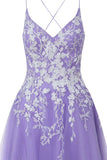 Aline Short Glitter Tulle Homecoming Dress with Appliques