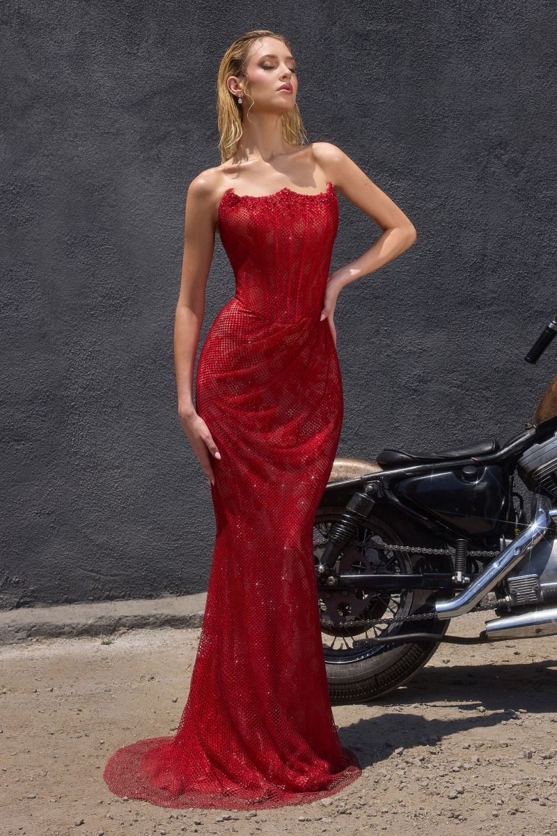 VIXEN GOWN MESH OVERLAY MERMAID DRESS