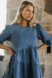 Sorrel Denim Mini Dress FINAL SALE